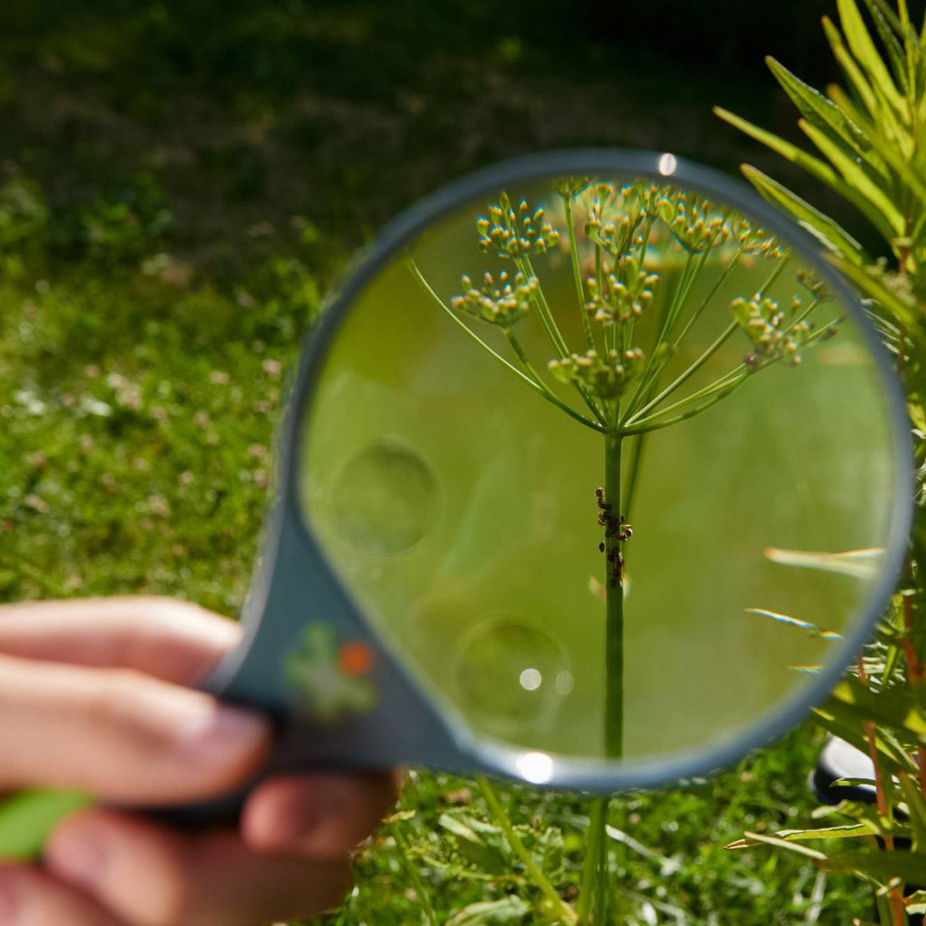 Terra Kids Magnifying Glass