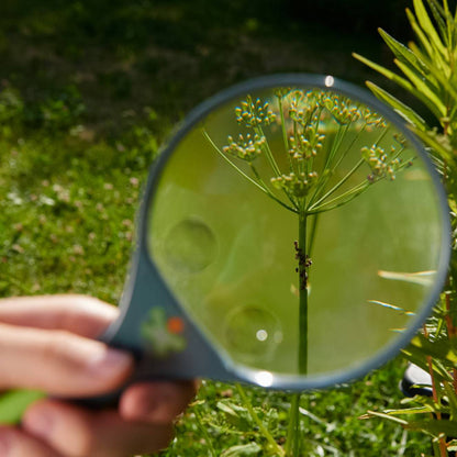 Terra Kids Magnifying Glass